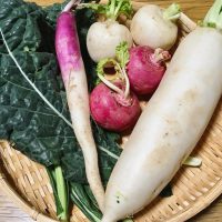 大阪京橋で無農薬野菜